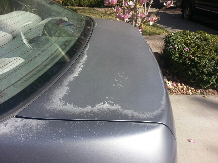 faded matte paint showing on a damaged gray car