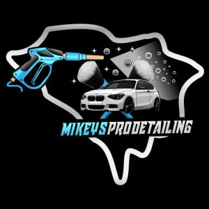Mikey's Pro Detailing in South Carolina, USA